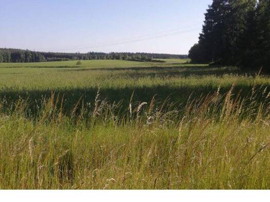 Grundstück zum Kauf 160.000 € 4.040 m² Grundstück Haide Helmbrechts 95233