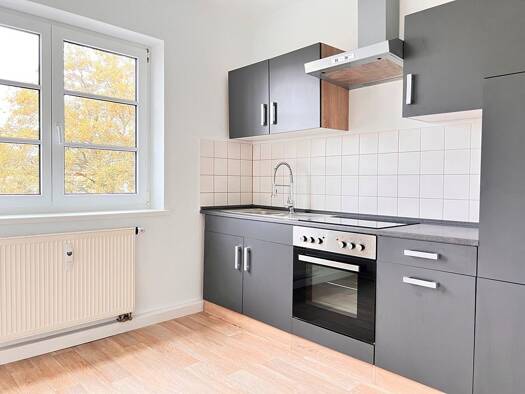 Wohnung zur Miete 350 € 3 Zimmer 62,8 m² Nach dem Taubenberg 10 Reusa Plauen 08529