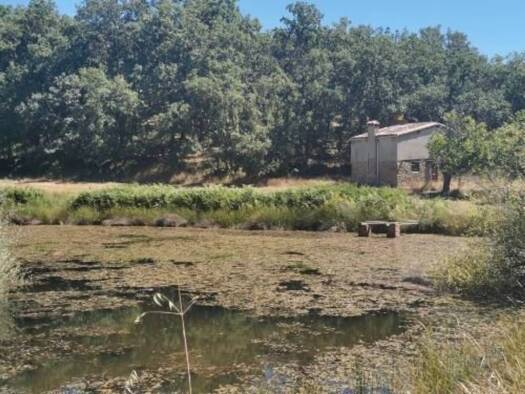 Acker-/Waldstück zum Kauf 400.000 € Jarandilla de la Vera 10450