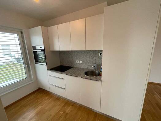 Wohnung zur Miete 531 € 55,2 m² EG St. Margarethen an der Raab 8321