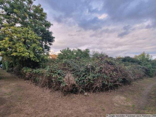 Grundstück zum Kauf 1.017.240 € 1.211 m² Grundstück Seckenheim Mannheim 68239