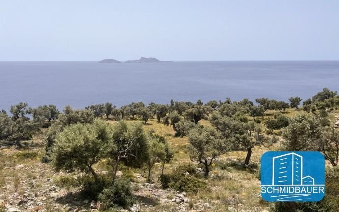 Grundstück zum Kauf 328.000 € 5.980 m²<br/>Grundstück Kreta Agios Pavlos 740 53