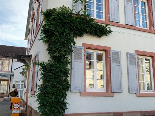 Wohnung zur Miete 905 € 2 Zimmer 67 m² frei ab sofort Basler Straße 78 Stetten Lörrach 79540