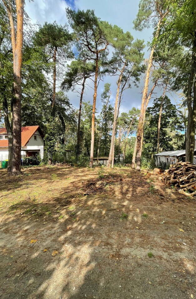 Grundstück zum Kauf provisionsfrei 260.000 € 1.036 m² Grundstück Kienitzer Straße 22 Rangsdorf Rangsdorf 15834