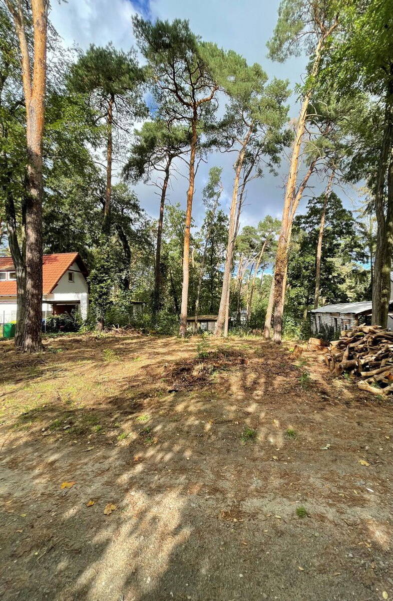 Grundstück zum Kauf provisionsfrei 260.000 € 1.036 m² Grundstück Kienitzer Straße 22 Rangsdorf Rangsdorf 15834