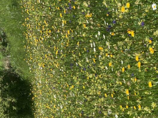 Grundstück zum Kauf 99.990 € 600 m² Grundstück Grattersdorf 94541