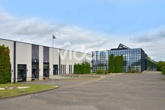 Lagerhalle zur Miete provisionsfrei 14.602 m² Lagerfläche teilbar ab 2.407 m² Sindorf Kerpen 50170