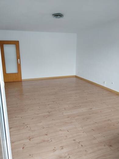 Wohnung zur Miete 765 € 3 Zimmer 103,1 m² Rielasingen Rielasingen-Worblingen 78239