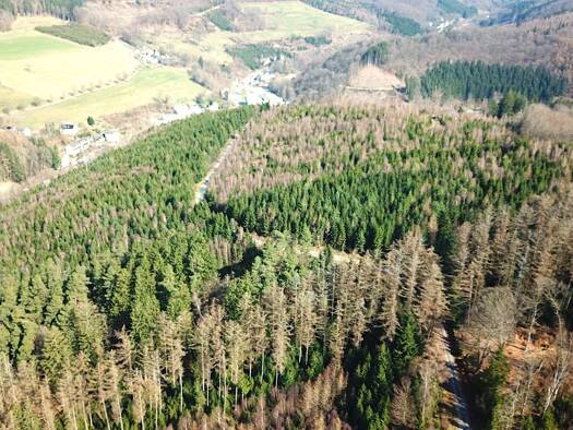 Forstwirtschaft zum Kauf 414.000 € 229.370 m² Grundstück Brüninghausen Lüdenscheid 58513