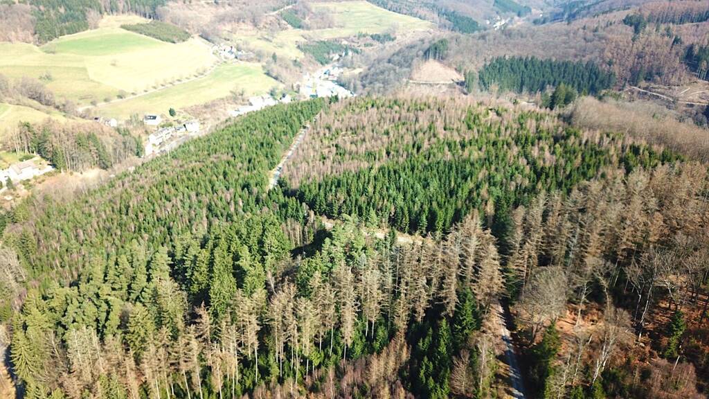 Forstwirtschaft zum Kauf 414.000 € 229.370 m² Grundstück Brüninghausen Lüdenscheid 58513