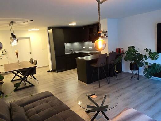 Terrassenwohnung zur Miete 895 € 3 Zimmer 75 m² EG frei ab sofort Neuhausen Neuhausen ob Eck 78579