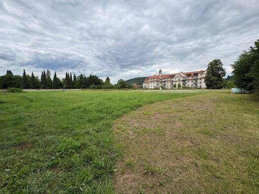 Grundstück zum Kauf 1.400.000 € 17.465 m² Grundstück Lohr Lohr am Main 97816