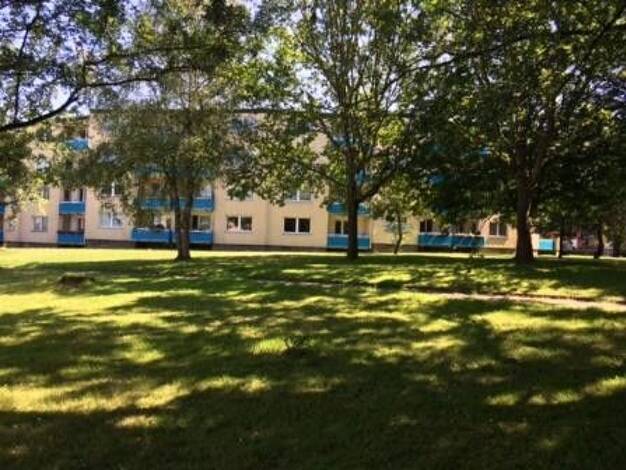 Wohnung zur Miete 420 € 1 Zimmer 39,5 m² 1. Geschoss frei ab 15.10.2026 Breslauer Straße 8 Stift Altenholz 24161