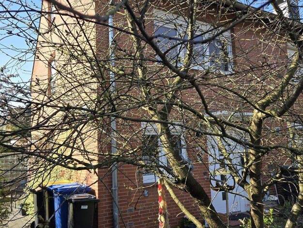 Reihenendhaus zum Kauf provisionsfrei 399.000 € 3,5 Zimmer 96 m² 377 m² Grundstück frei ab 01.06.2026 Neu Wulmstorf 21629