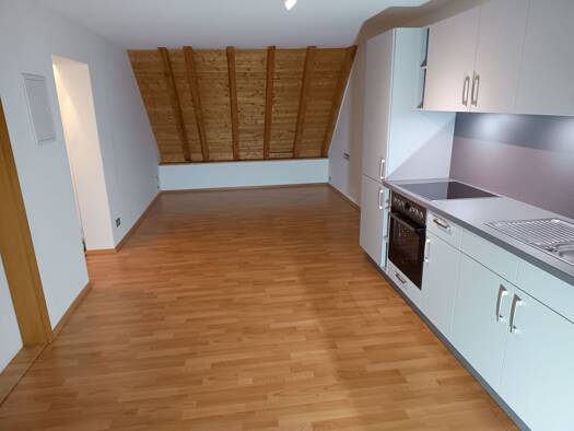 Wohnung zur Miete 390 € 1 Zimmer 30 m² Geschoss -3/3 frei ab 01.01.2026 Allmendstraße 28 Stadtgebiet Furtwangen im Schwarzwald 78120