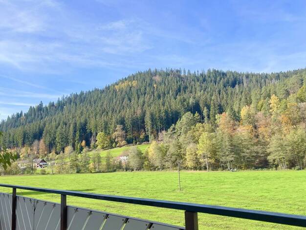 Wohnung zum Kauf provisionsfrei 399.000 € 4,5 Zimmer 189 m² 1. Geschoss Enzklösterle 75337