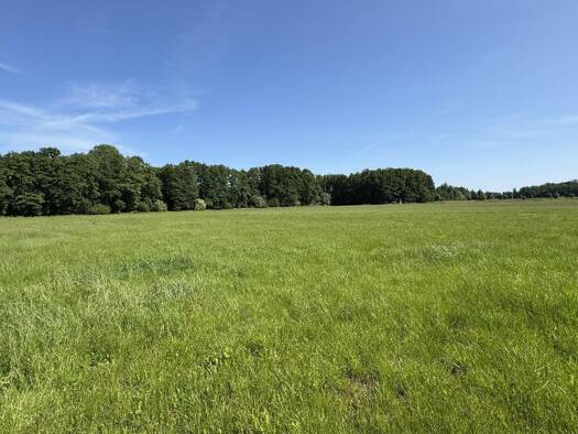 Land-/Forstwirtschaft zum Kauf 40.000 € 20.026 m² Grundstück Streetz Dannenberg 29451