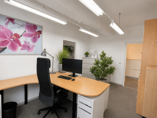 Büro zur Miete 150 € 1 Zimmer 27 m² Bürofläche Heidestraße (Dessau) 97 Innenstadt Dessau-Roßlau 06842