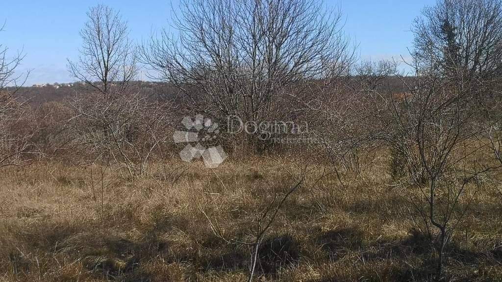 Land-/Forstwirtschaft zum Kauf 49.500 € Labin