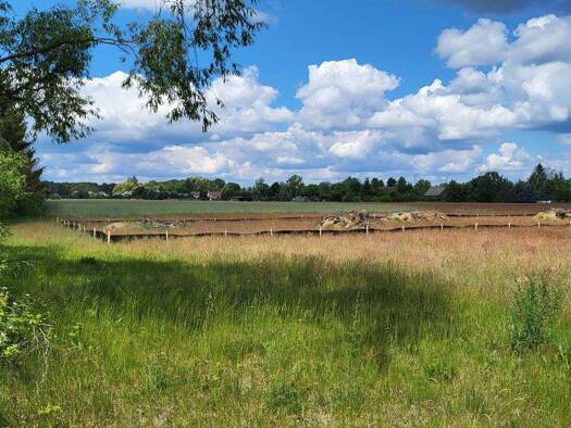 Grundstück zum Kauf provisionsfrei 99.990 € 1.187 m² Grundstück Freiwalde Schönwald 15910