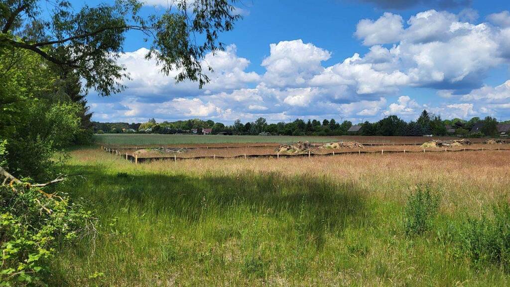 Grundstück zum Kauf provisionsfrei 99.990 € 1.187 m² Grundstück Freiwalde Schönwald 15910