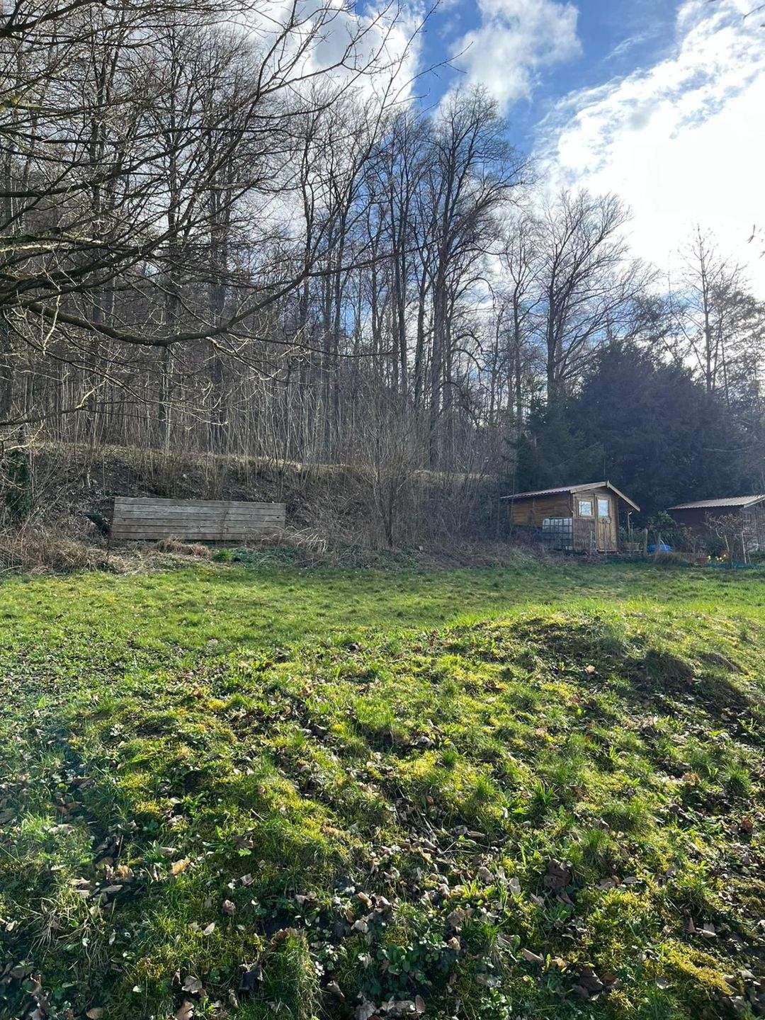 Immobilie in Dettingen an der Erms - Aufwendig renovierte 2-Zi. ETW in kleiner Einheit - Bild 3