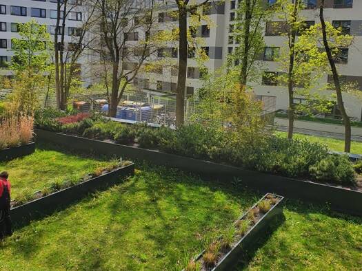 Wohnung zur Miete 799 € 2 Zimmer 56 m² frei ab 01.08.2026 Südvorstadt-West Dresden 01187