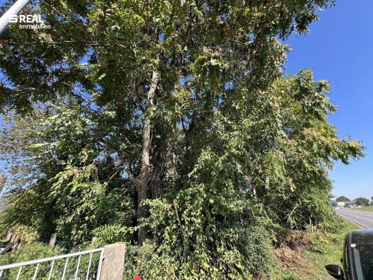 Grundstück zum Kauf 249.000 € 1.191 m² Grundstück Gänserndorf 2230