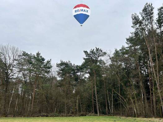 Land-/Forstwirtschaft zum Kauf 21.901 m² Grundstück Welle 21261