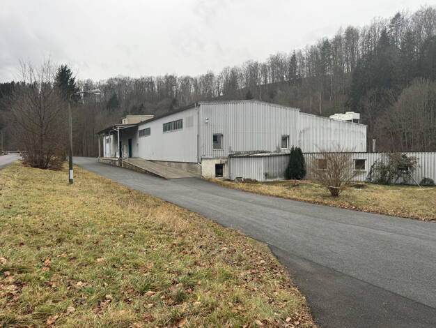 Lagerhalle zum Kauf provisionsfrei 720.000 € 2.600 m² Lagerfläche Großrückerswalde Großrückerswalde 09518