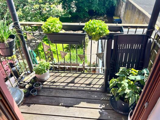Wohnung zur Miete 544 € 3 Zimmer 64 m² Geschoss 1/4 frei ab 15.08.2026 Friesische Straße 87 Friesischer Berg Flensburg 24937