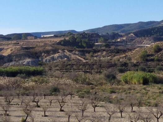 Acker-/Waldstück zum Kauf 150.000 € San Miguel de Salinas 03193