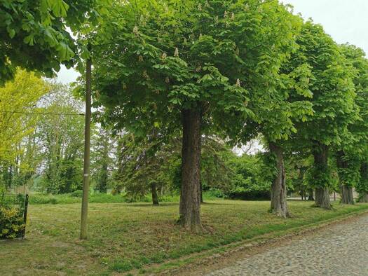 Grundstück zum Kauf 74.000 € 2.450 m² Grundstück Levetzow Lübow 23972