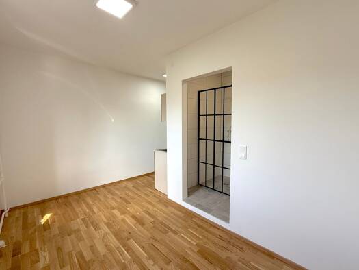 Wohnung zur Miete 299 € 1 Zimmer 20,9 m² 1. Geschoss Zeltweg 8740