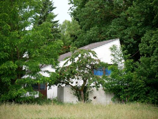 Haus zum Kauf 425.000 € 6 Zimmer 155 m² 1.604 m² Grundstück Scharnhorst Verden (Aller) 27283