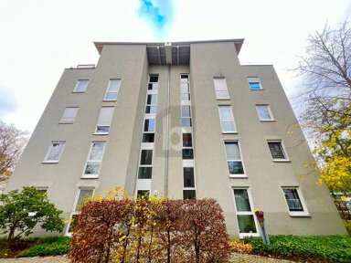 Wohnung zum Kauf 174.000 € 2 Zimmer 59 m² EG Johannstadt-Nord (Uni-Klinikum) Dresden 01307