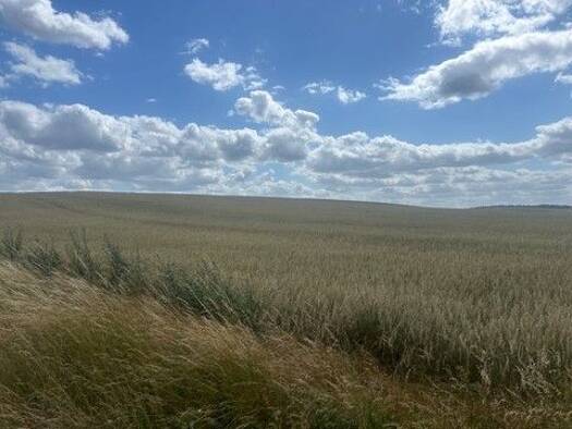 Landwirtschaftliche Fläche zum Kauf 1.678.152 m² Grundstück Greiffenberg Angermünde 16278