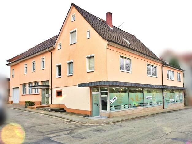 Mehrfamilienhaus zum Kauf 539.000 € 12 Zimmer 292 m² 503 m² Grundstück Michelstadt 64720