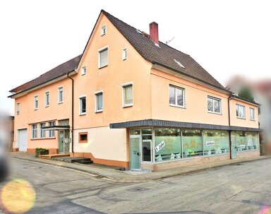 Mehrfamilienhaus zum Kauf 565.000 € 12 Zimmer 292 m² 503 m² Grundstück Michelstadt Michelstadt 64720