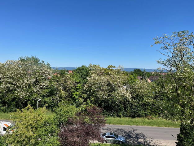 Wohnung zum Kauf provisionsfrei 288.000 € 3 Zimmer 84 m² 3. Geschoss Rheinau Mannheim 68219