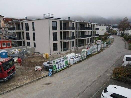 Wohnung zum Kauf - Erstbezug provisionsfrei 495.000 € 2 Zimmer 69,9 m² EG Ludwigshafen Bodman-Ludwigshafen 78351