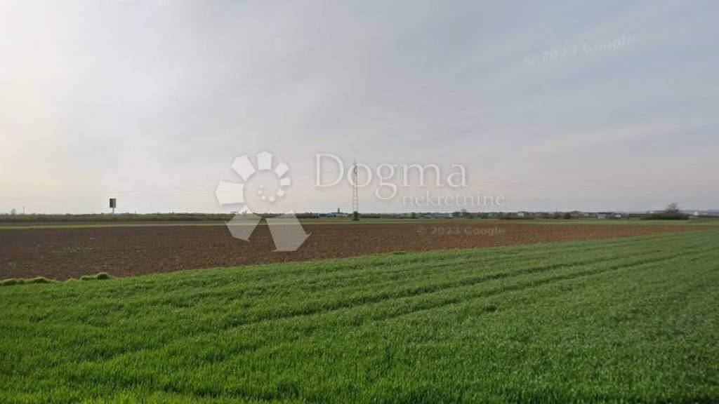 Land-/Forstwirtschaft zum Kauf 700.000 € Dugave