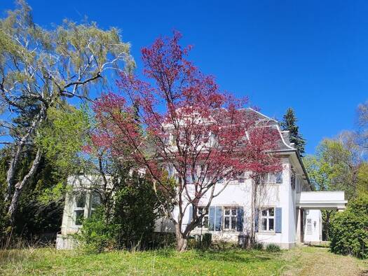 Villa zum Kauf provisionsfrei 10 Zimmer 585 m² 9.256 m² Grundstück frei ab sofort Reichenbach Reichenbach 08468