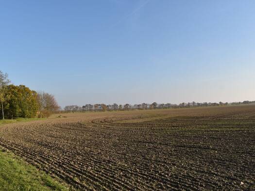 Grundstück zum Kauf 115.000 € 1.476 m² Grundstück frei ab sofort Klitschmar Wiedemar 04509