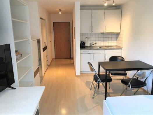 Studio zur Miete 550 € 1 Zimmer 22,5 m² frei ab 01.01.2026 Littenweiler Freiburg 79117