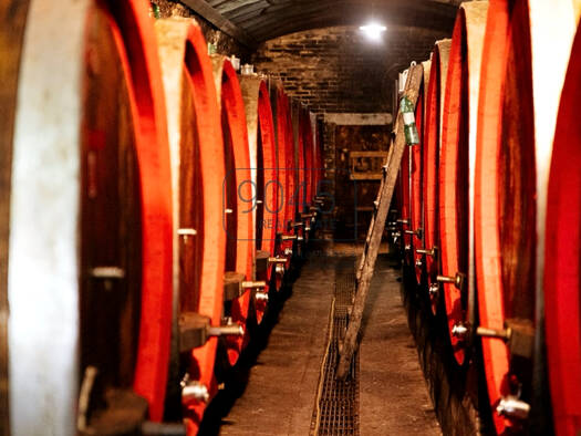 Bauernhaus zum Kauf 120.000 m² Grundstück Montepulciano 53045