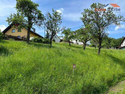 Grundstück zum Kauf 25.000 € 650 m² Grundstück Mottgers Sinntal 36391