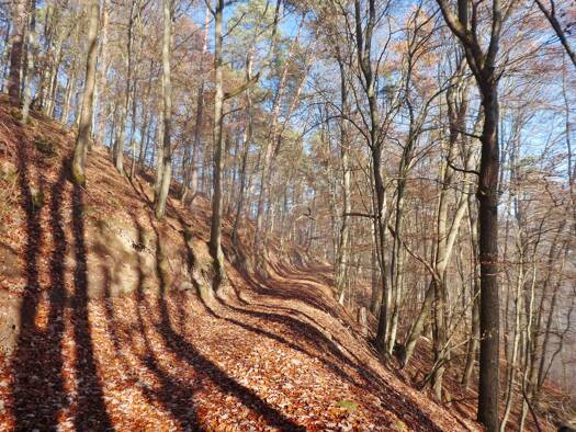 Forstwirtschaft zum Kauf 6.200 € 1.820 m² 1.820 m² Grundstück Collenberg 97903