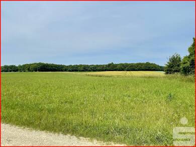 Land-/Forstwirtschaft zum Kauf 8.696 m² Grundstück Amerdingen Amerdingen 86735