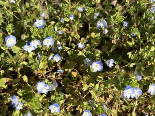 Grundstück zum Kauf 3.100.000 € 3.829 m² Grundstück Westheim b.Augsburg Neusäß 86356